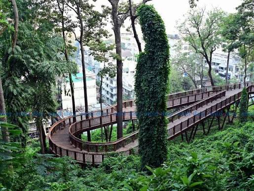 A 500-meter-long wooden walkway bridge has been created at Hanging Garden, Walkeshwar, offering tourists a jungle-like walking experience amidst nature. Credits: @khanshadab1982 #Mumbai #HangingGarden #Walkeshwar