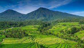 Perhatikan gambar 2.13 berikut ini ekosistem sawah dan berbagai permasalahannya. Soal Dan Pembahasan Uji Kompetensi 2 Ipa Kelas 7 Bab Interaksi Makhluk Hidup Dengan Lingkungan Kedai Mipa