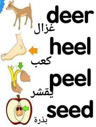 Pin By Cha Gla On Learning Arabic English Words English Language Learning Grammar English Phrases