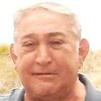 Joseph Carmen Manino Obituary