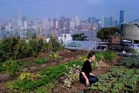 Sustainable Urban Farming Ideas That Think Inside The Box Urban Garden Design Urban Garden Urban Farming