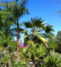 Botanischer Garten Der Universitat Leipzig About Facebook