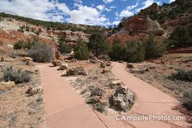 It was established as a national monument in 1906 and as a national park in 1962. Escalante Petrified Forest State Park Campsite Photos Camping Info