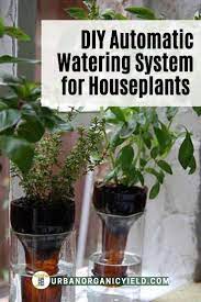 Pin On Indoor Gardening