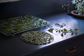 Pin On Garden Miscellany