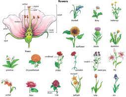 Pin On Future Tats