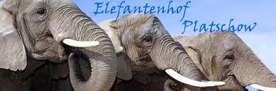 Willkommen Elefant Willkommen Ausflug