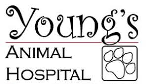 Island pet hospital cocoa beach. Veterinarian In Titusville Florida