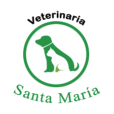 Clínica Veterinaria Santa María