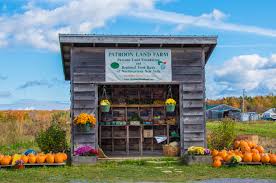 Image result for tbn:0PJB32OL7JwfOM::farm4.static.flickr.com/3324/3329876139_f2d551139f.jpg