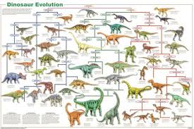 Laminated Dinosaur Species Evolution Poster 61x91cm Educational Wall Chart