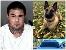 Butte County man arrested for attempted murder with prior felonies