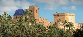 Una gran superficie que cuenta con más de 60.000 m2. Tourism In Elche What To See Tourist Information Spain Info In English