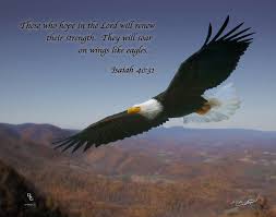 Check spelling or type a new query. Bible Quotes About Eagles Quotesgram