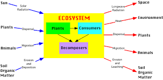 9 J Introduction To The Ecosystem Concept Ecosystems Systems Thinking Biomes