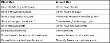 2 3 eukaryotic cells bioninja