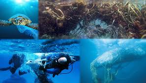 The pacific ocean is infected with the largest of the five offshore plastic accumulation zones in the world's oceans. Great Pacific Garbage Patch 9changes Com