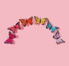 Maybe you would like to learn more about one of these? Pink Butterfly Aesthetic Wallpapers Wallpaper Cave