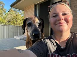 Yesterday we said goodbye to Tori ❤️‍🩹 One of the most gorgeous old girls  I have had the pleasure of meeting. Tori would always greet me with  excitement to be taken out