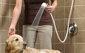 This will prevent any skin issue that most of the dogs. 3 Way Pet Shower Sprayer System Adds A Flexible Removable Handheld For Easy Pet Cleaning Shopideafactorystore Com