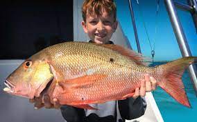 Maybe you would like to learn more about one of these? Bahamas Fishing Charters Island Excursions Snorkeling Hunter Charters