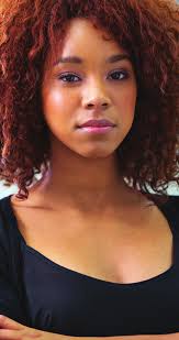 Guns, body armor seized in New Balt.