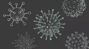 Image result for Virus