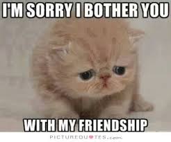I M Sorry I Bother You With My Friendship Picture Quotes Crush Memes Funny Meme Pictures Funny Images