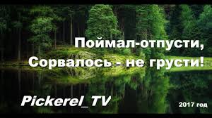 Нардепу Довгому вручено подозрение, - прокуратура - Цензор.НЕТ 2287