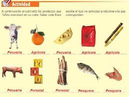La guia del docente viene completa con las. Diversas Actividades Diversos Productos Ayuda Para Tu Tarea De Geografia Sep Primaria Cuarto Respuestas Y Explicaciones