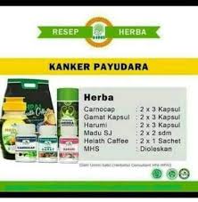 Maybe you would like to learn more about one of these? Resep Kanker Payudara Kanker Gf Herbal Hni Hpai Facebook