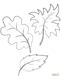 Otono Hojas De Otono Para Colorear Paginas Para Colorear Gratis Colorear Ninos Imprimir Ya ha llegado el otono y con el la caida de las hojas de los arboles. otono hojas de otono para colorear
