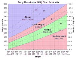 Bmi And Obesity Chart Easybusinessfinance Net