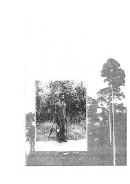 Image result for Oldfieldia macrocarpa