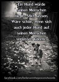 Pin Von Birgit Ohl Auf Westie Spruche Bilder Hunde Bilder Spruche
