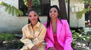 5/1/21 aliens stole my body angelina ballerina: What S Leaving Netflix May 2021 Movie Show Removals Teen Vogue