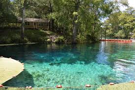 Many visitors enjoy the picnic area, playground, and the park's large open areas for frisbee, football, soccer and also for several local events. Fanning Springs Florida The Published Reporter