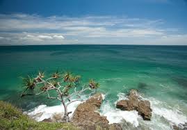 How to get to noosa heads. The Top 10 Things To Do Attractions Activities In Noosa Sunshine Coast