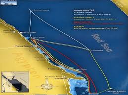 Image result for Red Marina 1992 UMM