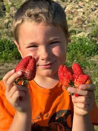 Society of St. Andrew