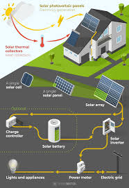 High angle view of solar panels on an energy farm. Best Solar Panels For Your Home 2021 Guide Greenmatch