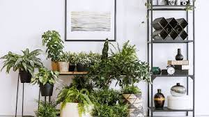 Check out our plant pot selection for the very best in unique or custom, handmade pieces from our planters & pots shops. Where To Buy Plants Online 9 Shops That Deliver To Your Door Architectural Digest