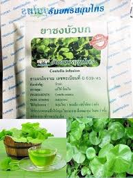 Image result for Centella asiatica