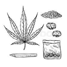 Marijuana Or Cannabis Vector Drawing Set. Plant Leaf, Buds, Joint, | Stock  Vector | Colourbox