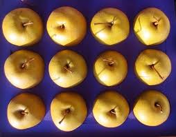Maybe you would like to learn more about one of these? Olympic Giant Asian Pear 12 Count Gift Box