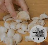 Garlic Sorting Machine - AI Garlic Color Sorter