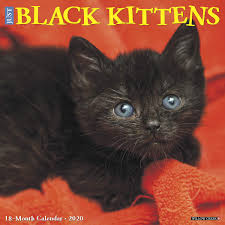 Download the most adorable kitten pictures and images for free! Just Black Kittens 2020 Wall Calendar Willow Creek Press 0709786049677 Amazon Com Books