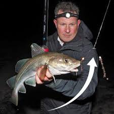 Andis Wishbone Rig Fishing Techniques Best Fishing Sport Fishing