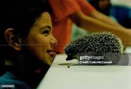 65 Derrick Connell Stock Photos, High-Res Pictures, and Images