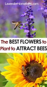 Steps to make a book and quill in minecraft. Flowers That Attract Bees To Your Garden The Lavender Homefront